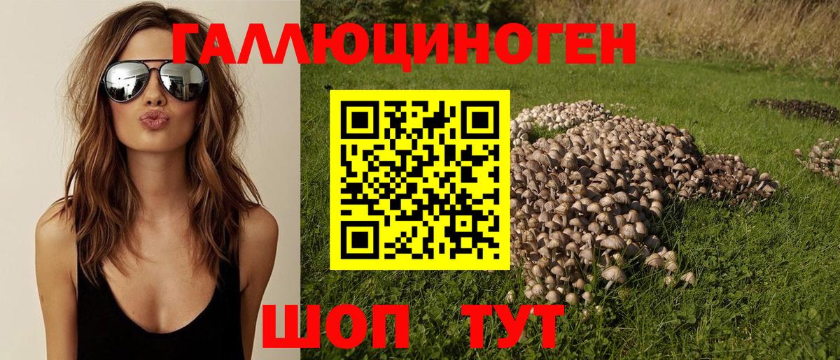 Вольск  Псилоцибиновые грибы Magic Shrooms  Вход с VPN 